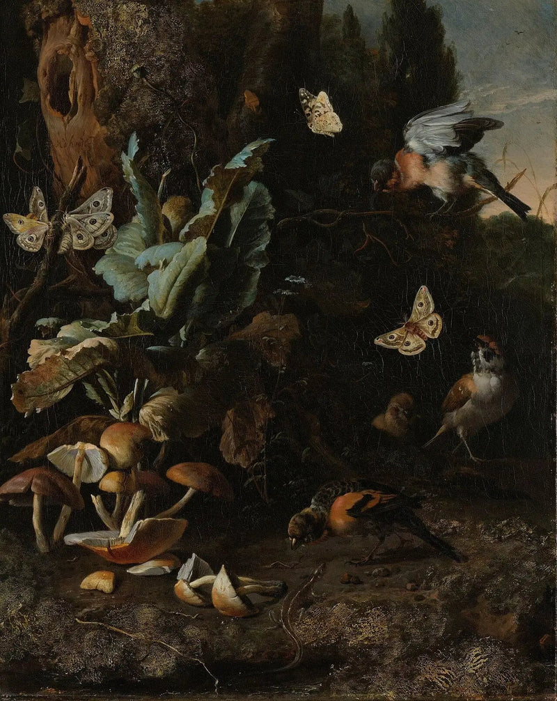 Dieren en planten - Melchior de Hondecoeter