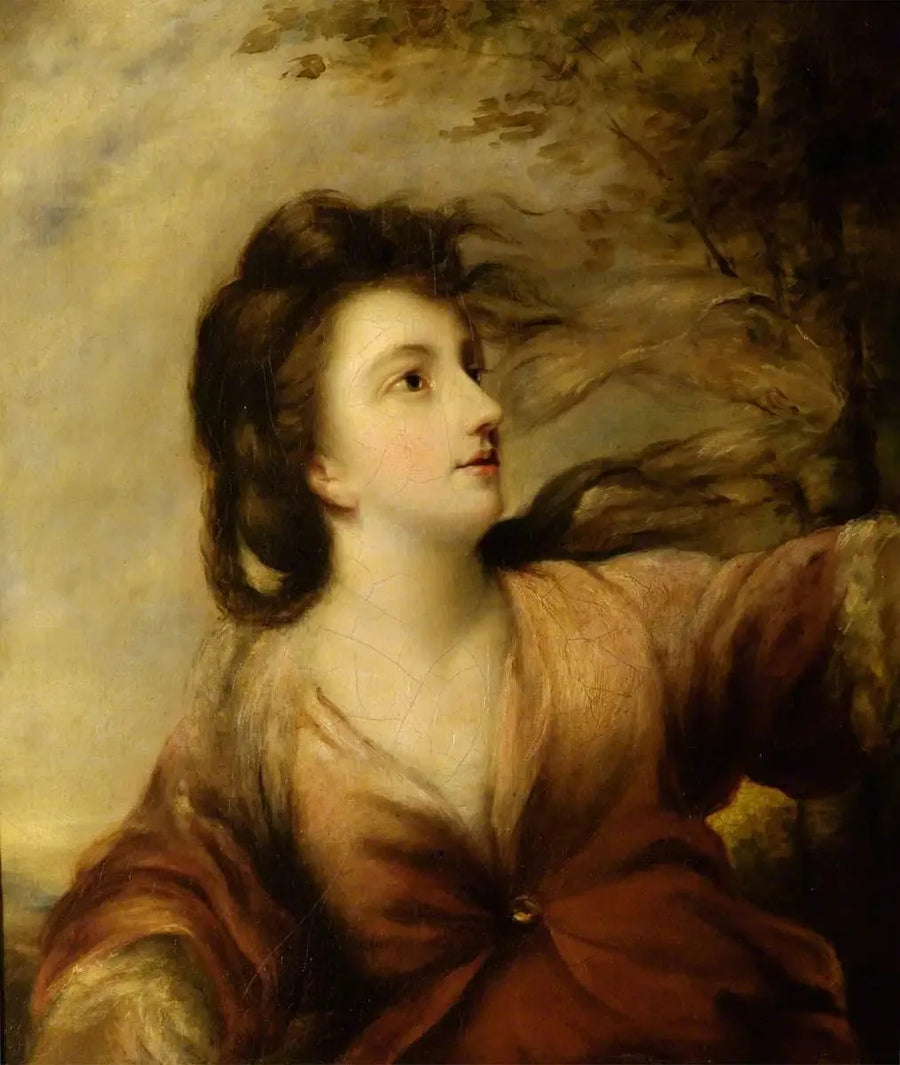 Anne, markiezin Townshend - Joshua Reynolds

Source:
Anne, marquise Townshend - Joshua Reynolds