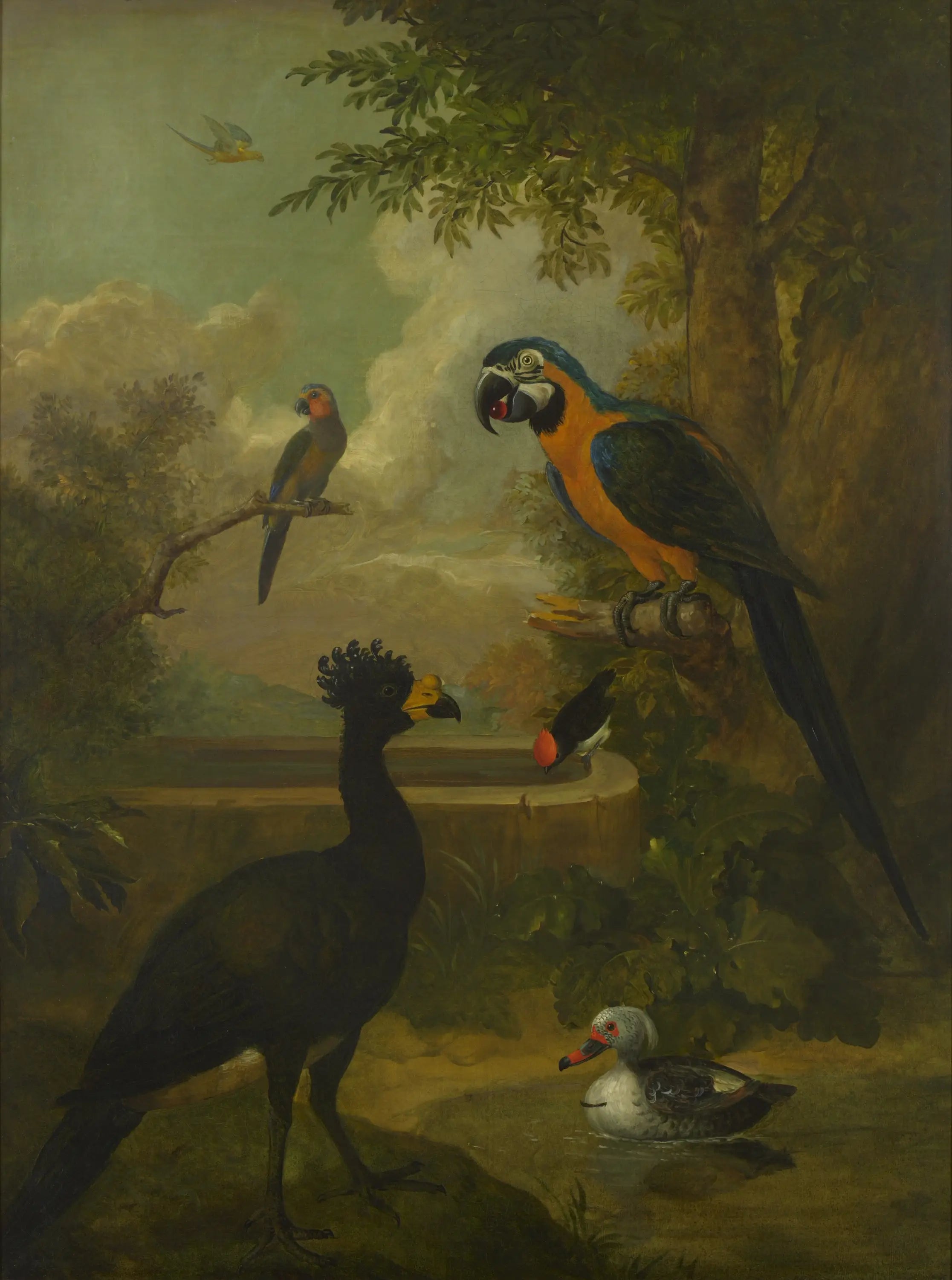 Ara et autres oiseaux dans un paysage - Tobias Stranover image 1 tableau peint à l’huile sur toile