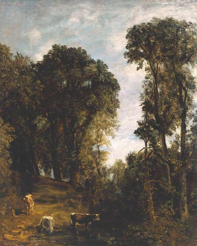 Hampsteadbomen - John Constable