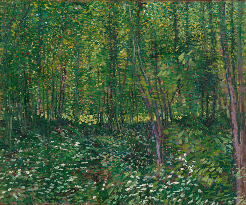 Bomen - Vincent van Gogh