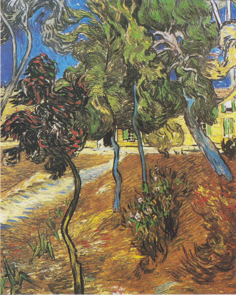 Bomen in de tuin van het Sint-Paulusziekenhuis - Vincent van Gogh