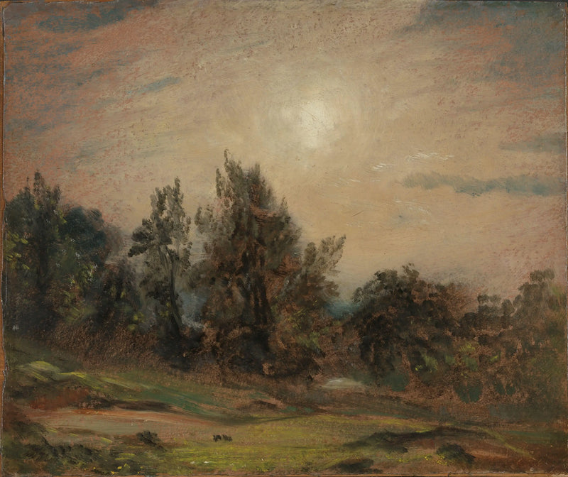 Bomen op Hampstead Heath - John Constable