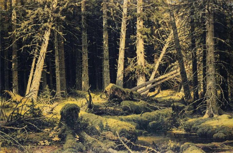 gevallen bomen door de wind - Ivan Chichkine

Source:
Arbres tombés par le vent - Ivan Chichkine