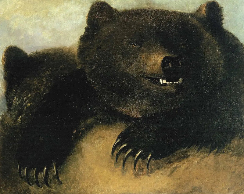 Wapen en uiterlijk van de grizzlybeer - George Catlin

Source:
Armes et physionomie de l'ours grizzli - George Catlin