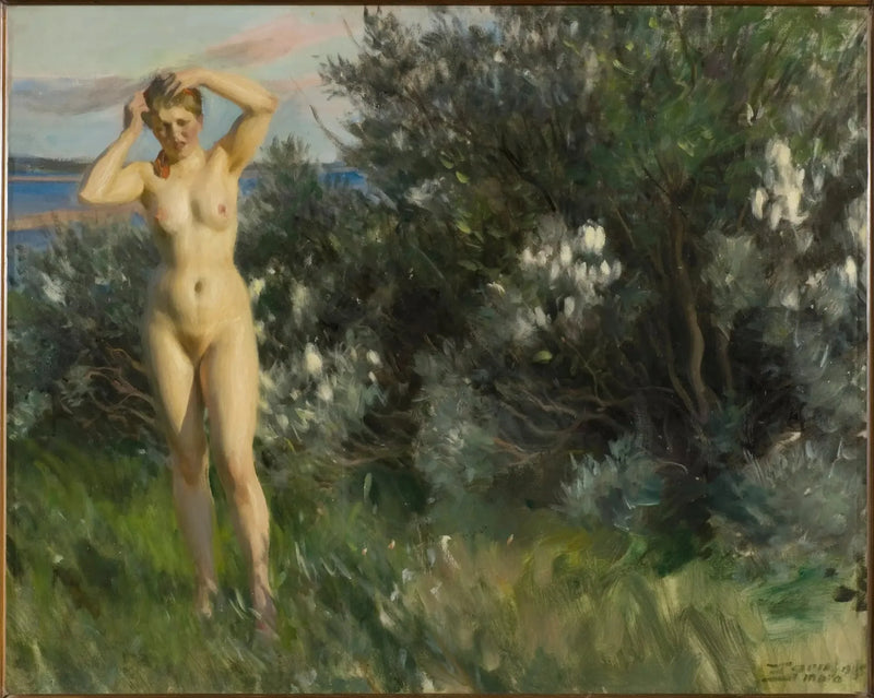 Aan de oever van het Siljan-meer - Anders Zorn

Source:
Au bord du lac Siljan - Anders Zorn