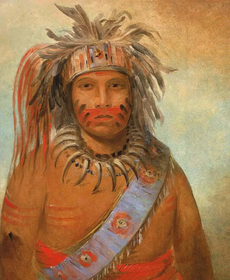De stormvogel - George Catlin

Source:
Au-nim-muck-kwa-um, oiseau de la tempête - George Catlin