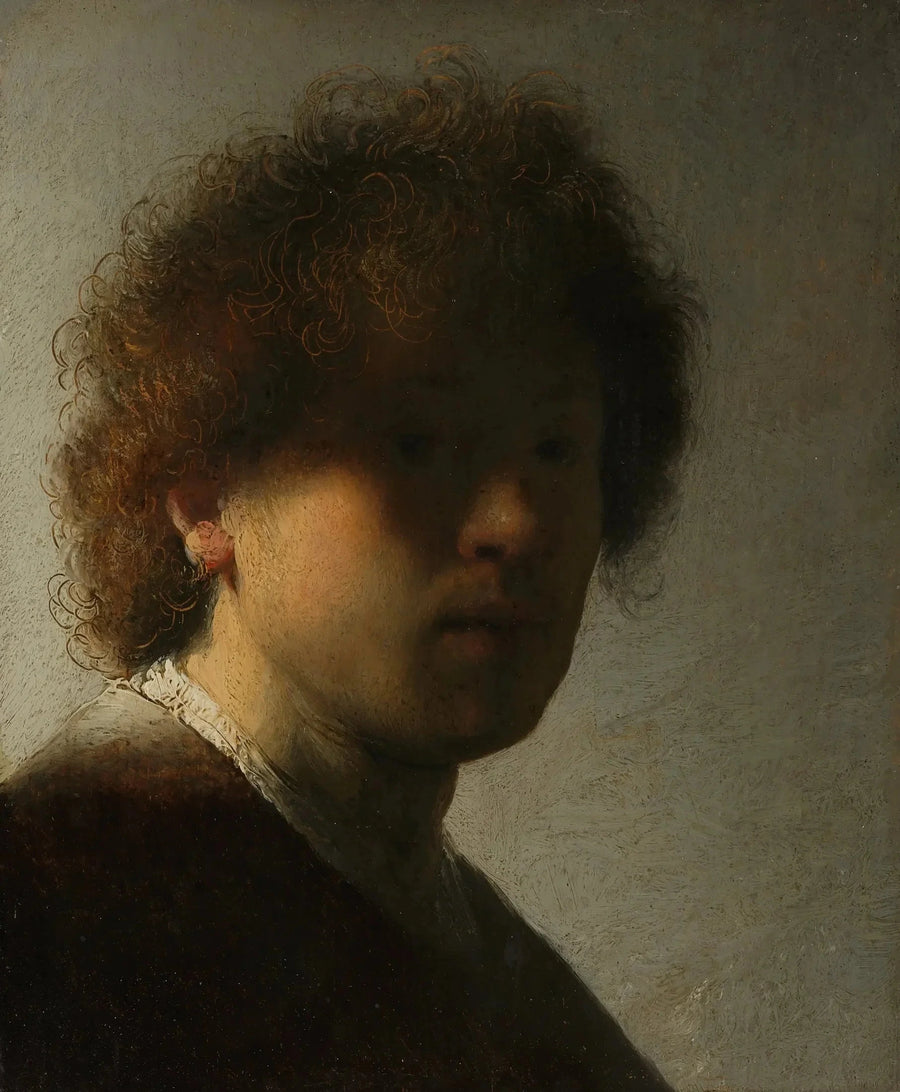 Zelfportret met verward haar - Rembrandt
