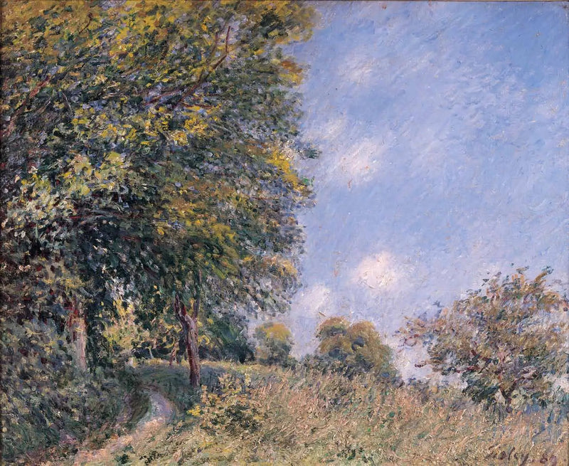 Rondom het bos, juli-ochtend - Alfred Sisley