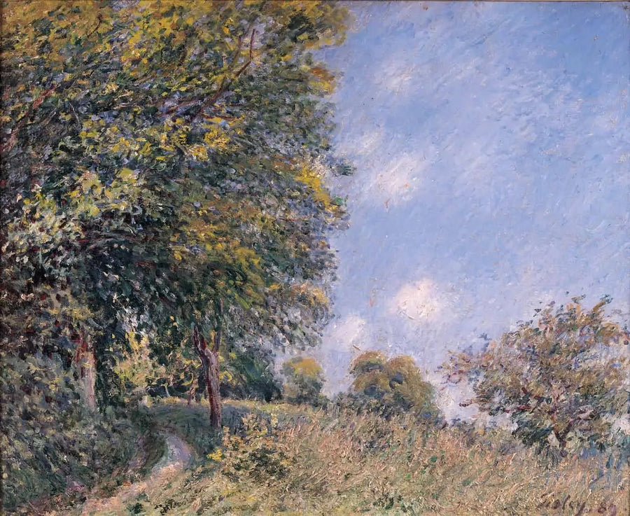 Rondom het bos, juli-ochtend - Alfred Sisley