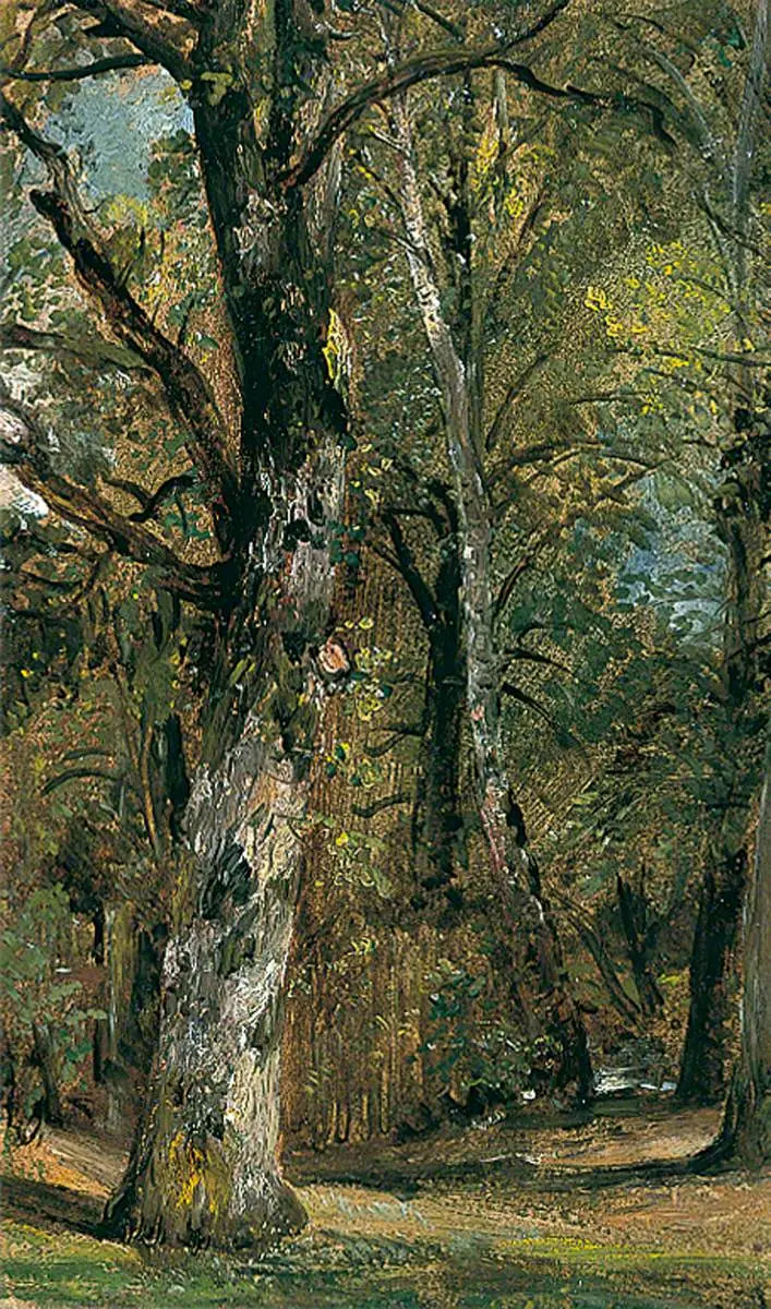 Avenue des Arbres - John Constable