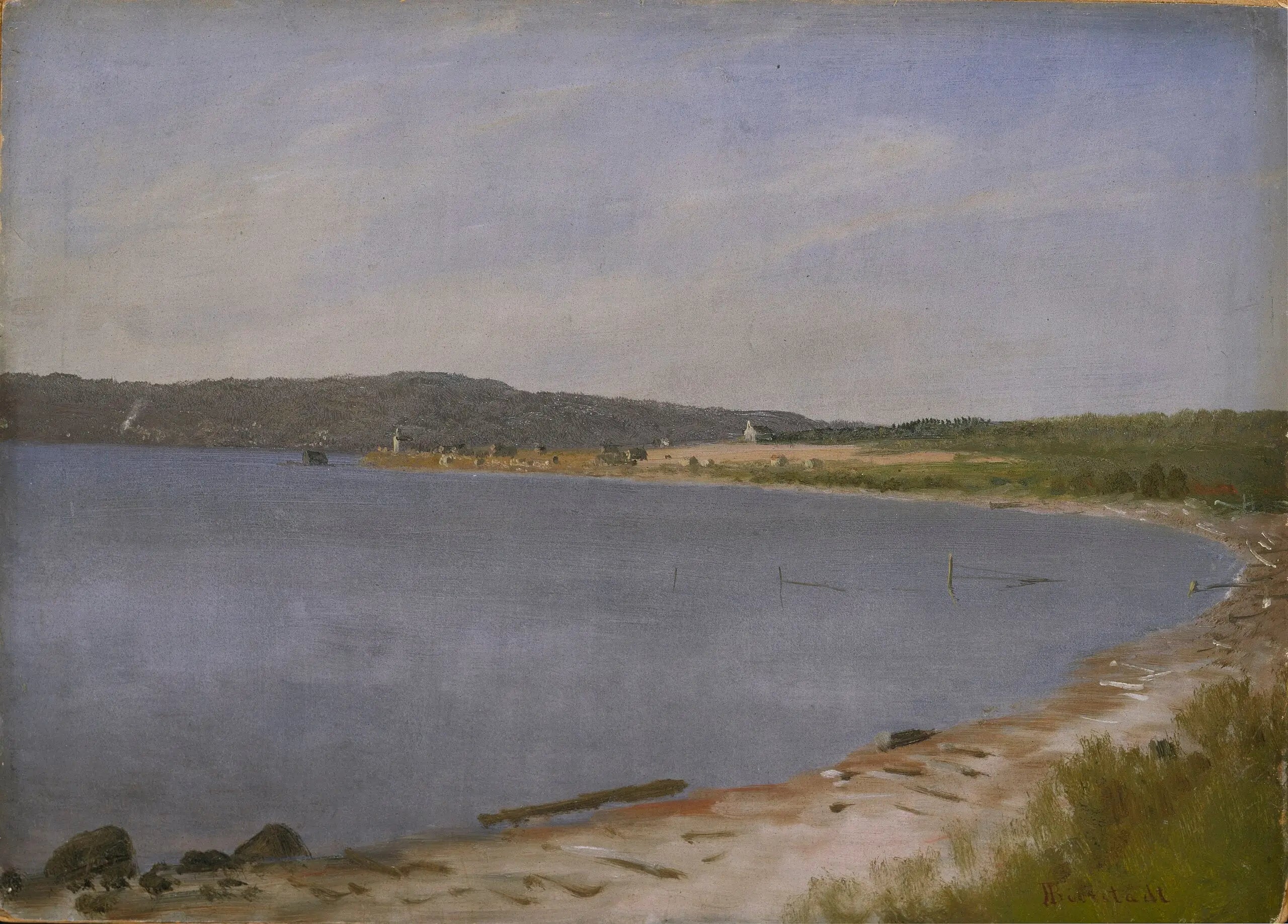 Baie de San Francisco - Albert Bierstadt - Alpha Reproduction