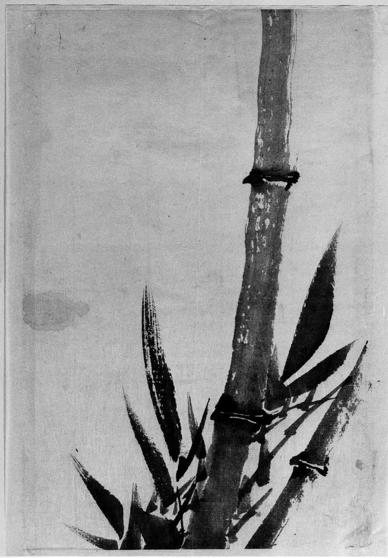 Bambou - Hokusai

Source:
Bambou - Hokusai