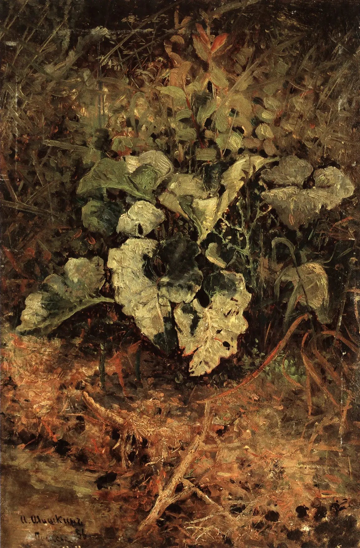 Bardane - Ivan Chichkine - Alpha Reproduction