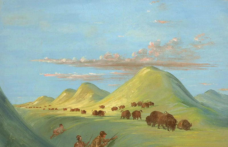 Batiste, Bogard en ik naderden Buffalo aan de Missouri - George Catlin

Source:
Batiste, Bogard et moi approchant de Buffalo sur le Missouri - George Catlin