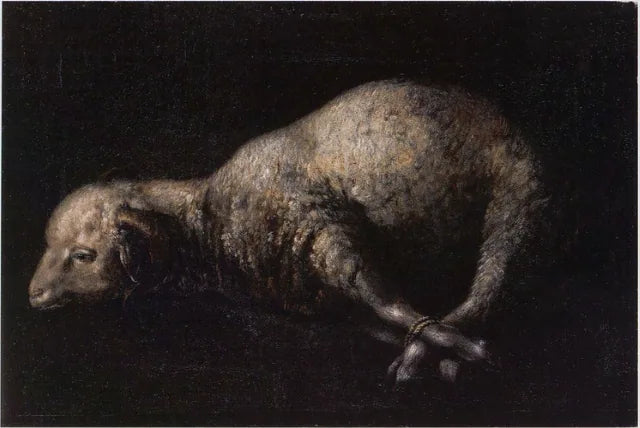  Ram met vastgebonden voeten - Francisco de Zurbarán