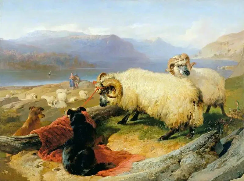 Aangedreven rammen - Edwin Henry Landseer

Source:
Béliers attachés - Edwin Henry Landseer