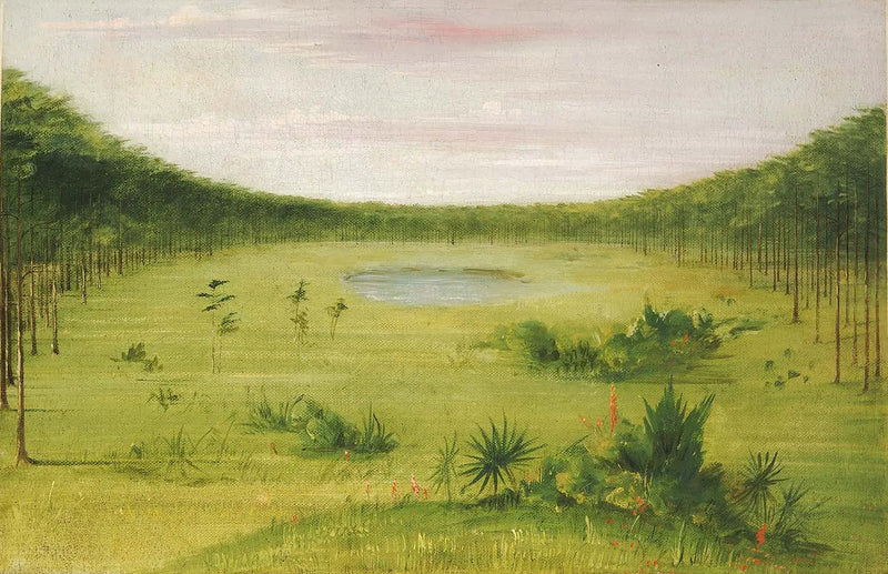 Mooie savanne in de dennenbossen van Florida - George Catlin

Source:
Belle savane dans les pinèdes de Floride - George Catlin