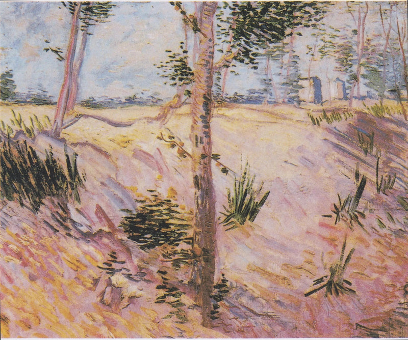 Bomen op een helling - Vincent van Gogh