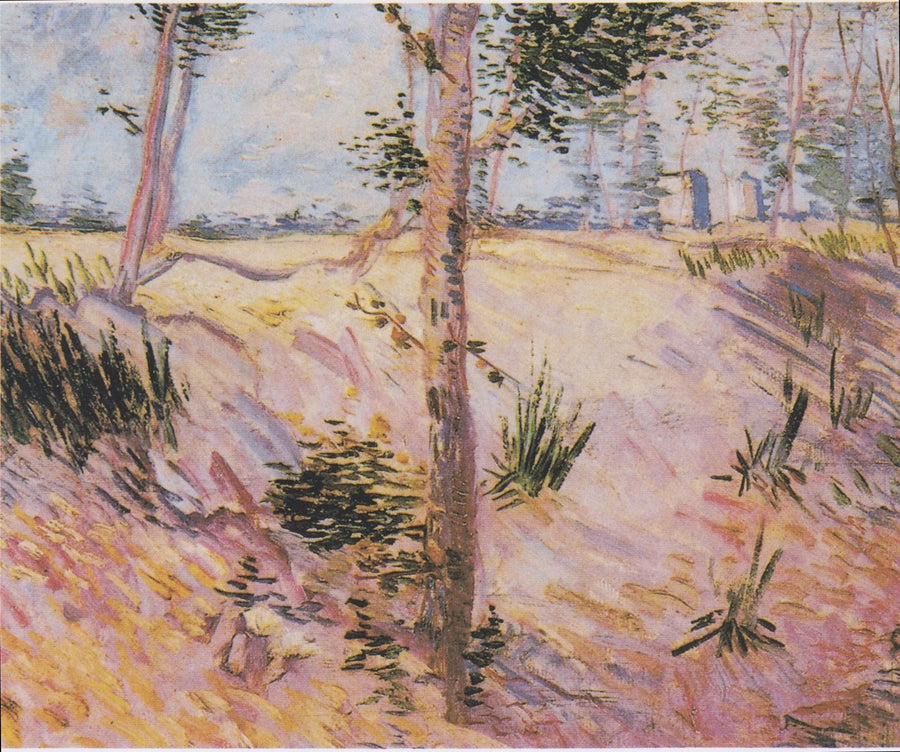 Bomen op een helling - Vincent van Gogh