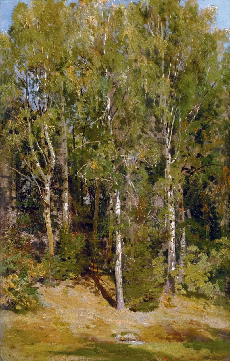 Birch Grove - Ivan Chichkine

Source:
Birch Grove - Ivan Chichkine