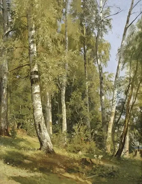 Birch Grove - Ivan Chichkine

Source:
Birch Grove - Ivan Chichkine