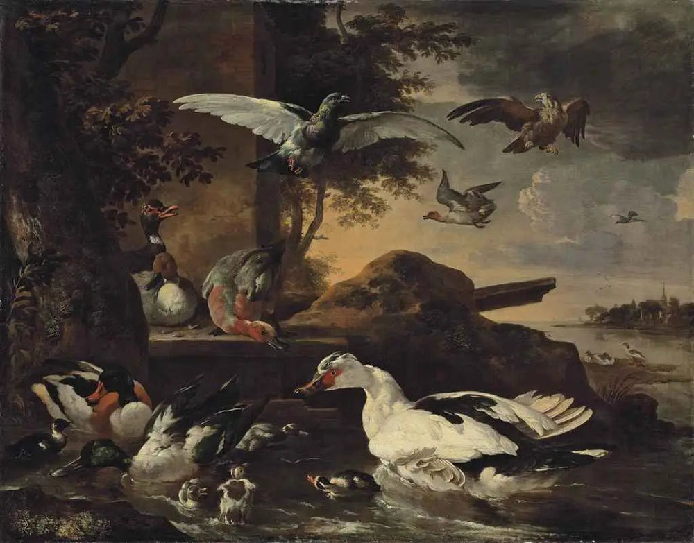 Q134595477 - Melchior de Hondecoeter - Alpha Reproduction