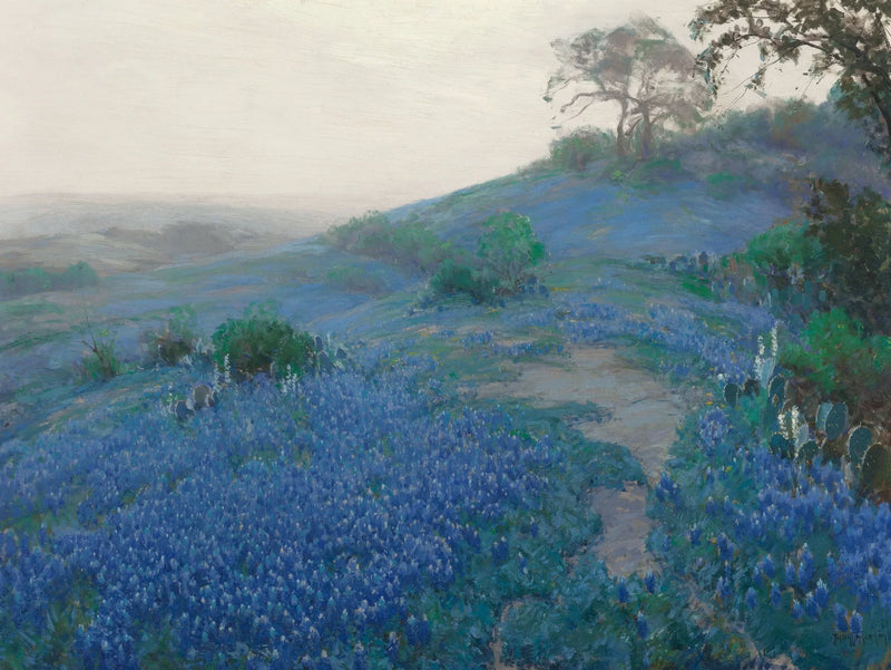 Blauwe Bonnet Veld, vroeg in de ochtend, San Antonio, Texas - Julian Onderdonk