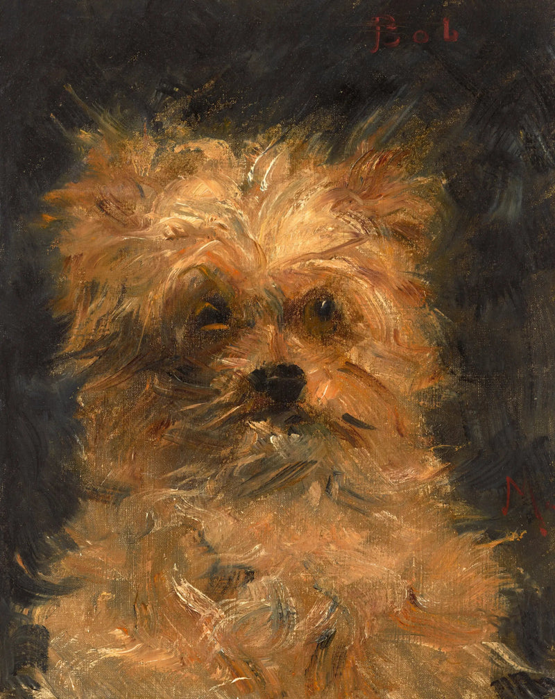 Bob, griffon hond - Édouard Manet