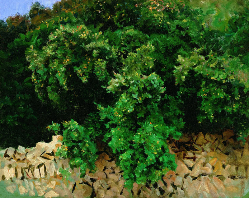 Ilexhout. Mallorca - John Singer Sargent