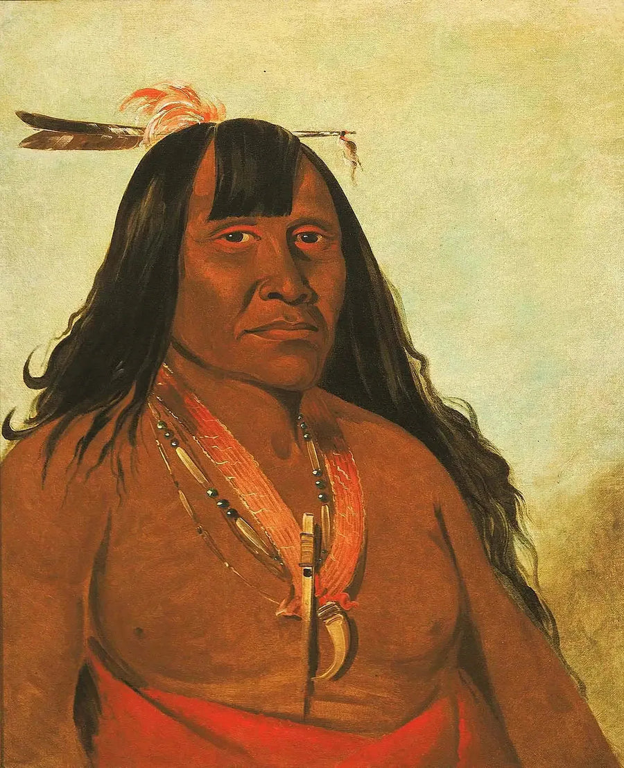 Bón-són-gee, Nieuwe Vlam, een bandleider - George Catlin

Source:
Bón-són-gee, New Fire, un chef de bande - George Catlin