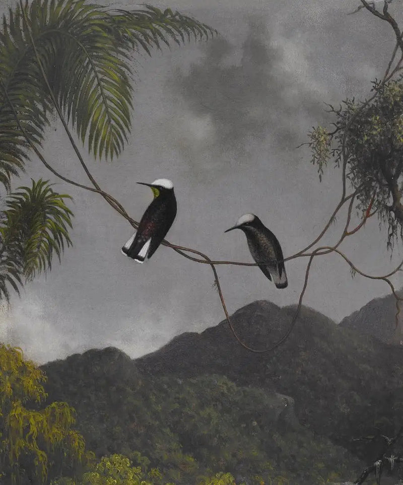 Sneeuwkap - Martin Johnson Heade

Source:
Bonnet de neige - Martin Johnson Heade