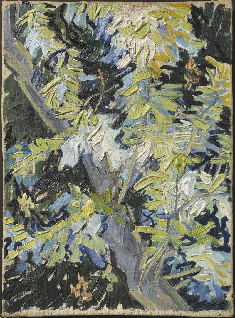 Bloeiende acaci takken - Vincent van Gogh