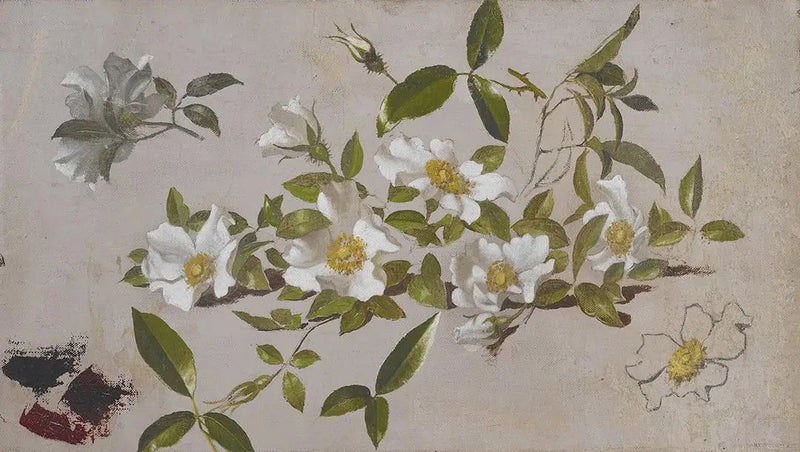 Cherokee rozen takken - Martin Johnson Heade

Source:
Branches de roses Cherokee - Martin Johnson Heade