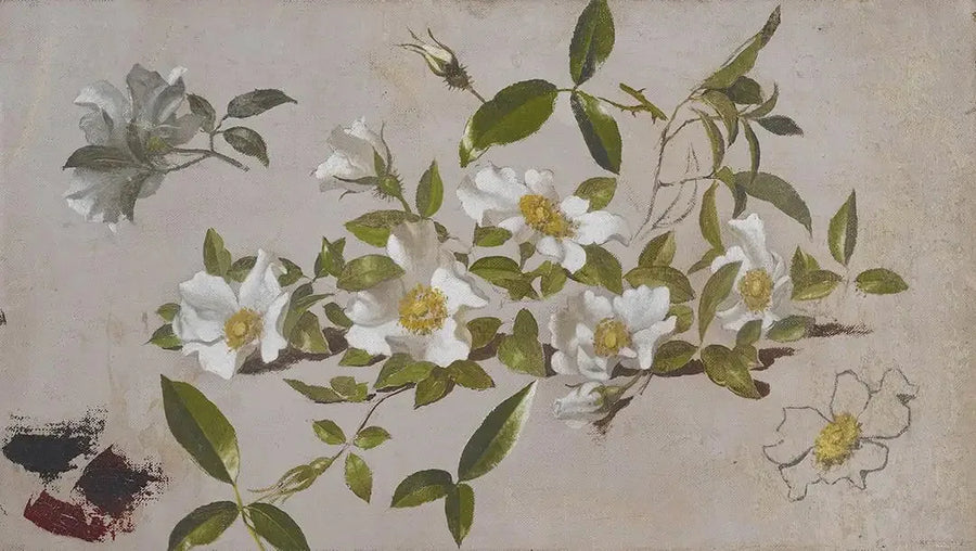 Cherokee rozen takken - Martin Johnson Heade

Source:
Branches de roses Cherokee - Martin Johnson Heade