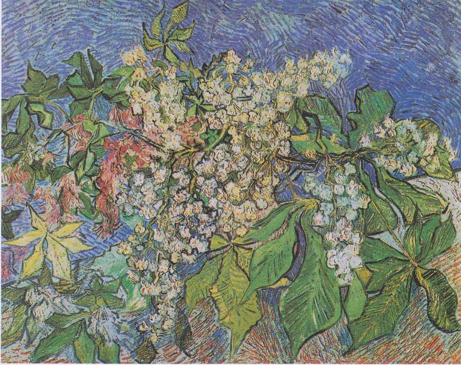 Bloeiende kastanjeboomtakken - Vincent van Gogh