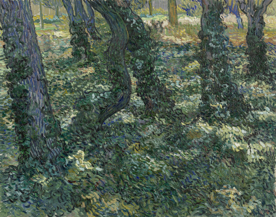 Broussailles - Vincent van Gogh