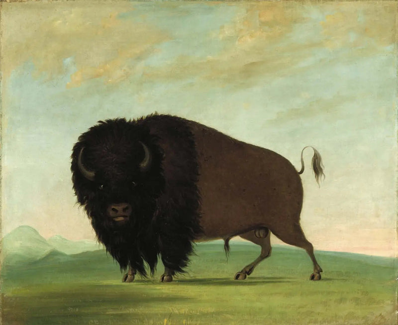 Mannelijke buffel die in de weide graast - George Catlin

Source:
Buffle mâle broutant dans la prairie - George Catlin