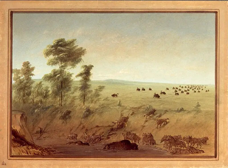 Buffels en wolven vastzitten - George Catlin

Source:
Buffles et loups embourbés - George Catlin