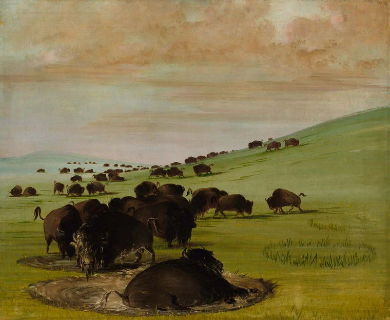 Mannelijke buffels in een modderpoel - George Catlin

Source:
Buffles mâles dans un bourbier - George Catlin