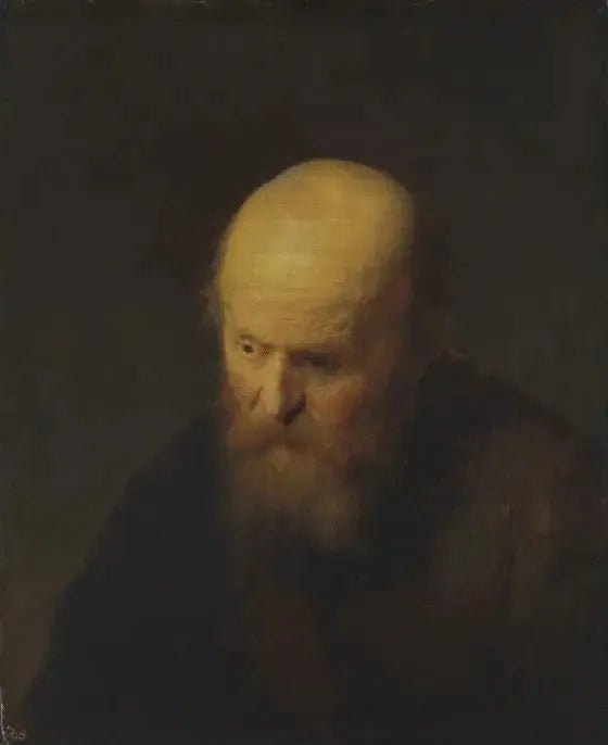 Buste van een oude man met een kale kop - Rembrandt