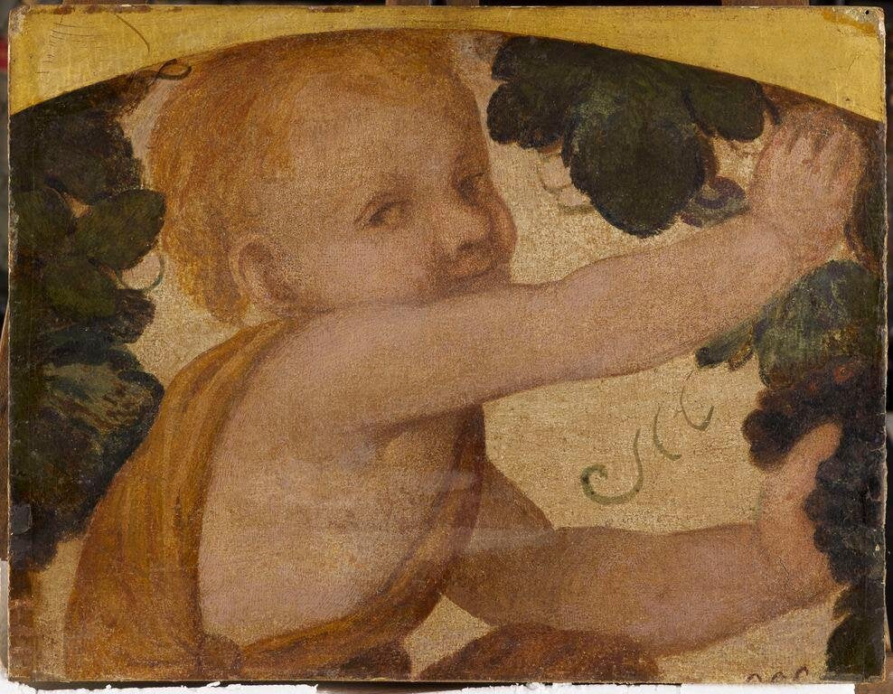 Buste de putto dans les pampres - Bernardino Luini - Alpha Reproduction
