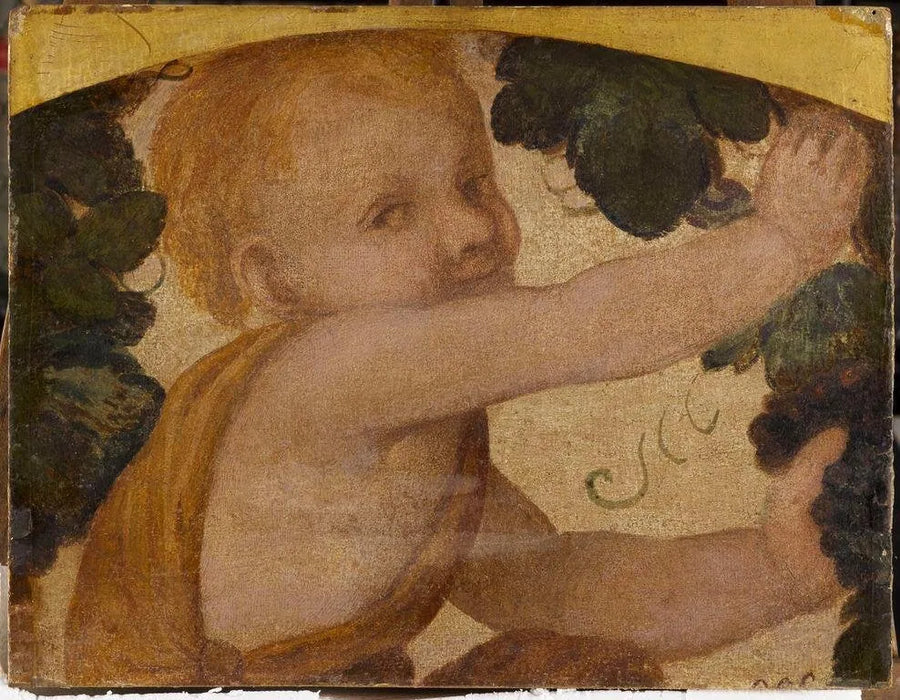 Buste van putto in de wijnrank - Bernardino Luini