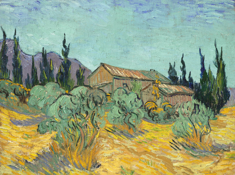 Houten hutten tussen de olijfbomen en cipressen - Vincent van Gogh