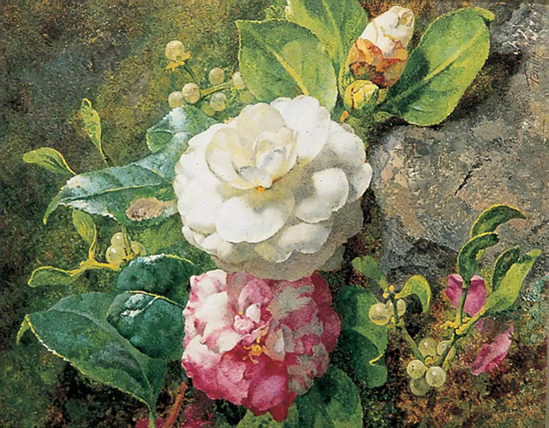 Camélias - Henri Fantin-Latour

Source:
Camélias - Henri Fantin-Latour