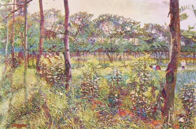 Lombardse campagne - Umberto Boccioni

Source:
Campagne lombarde - Umberto Boccioni