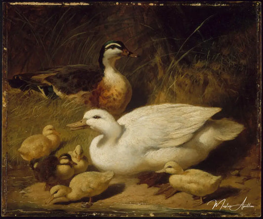 Canards et canetons - John Frederick Herring Snr - Reproductions de tableaux et peintures haut de gamme