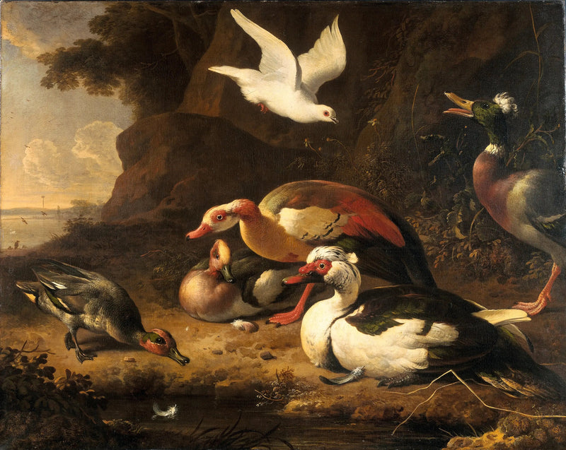 Eenden - Melchior de Hondecoeter