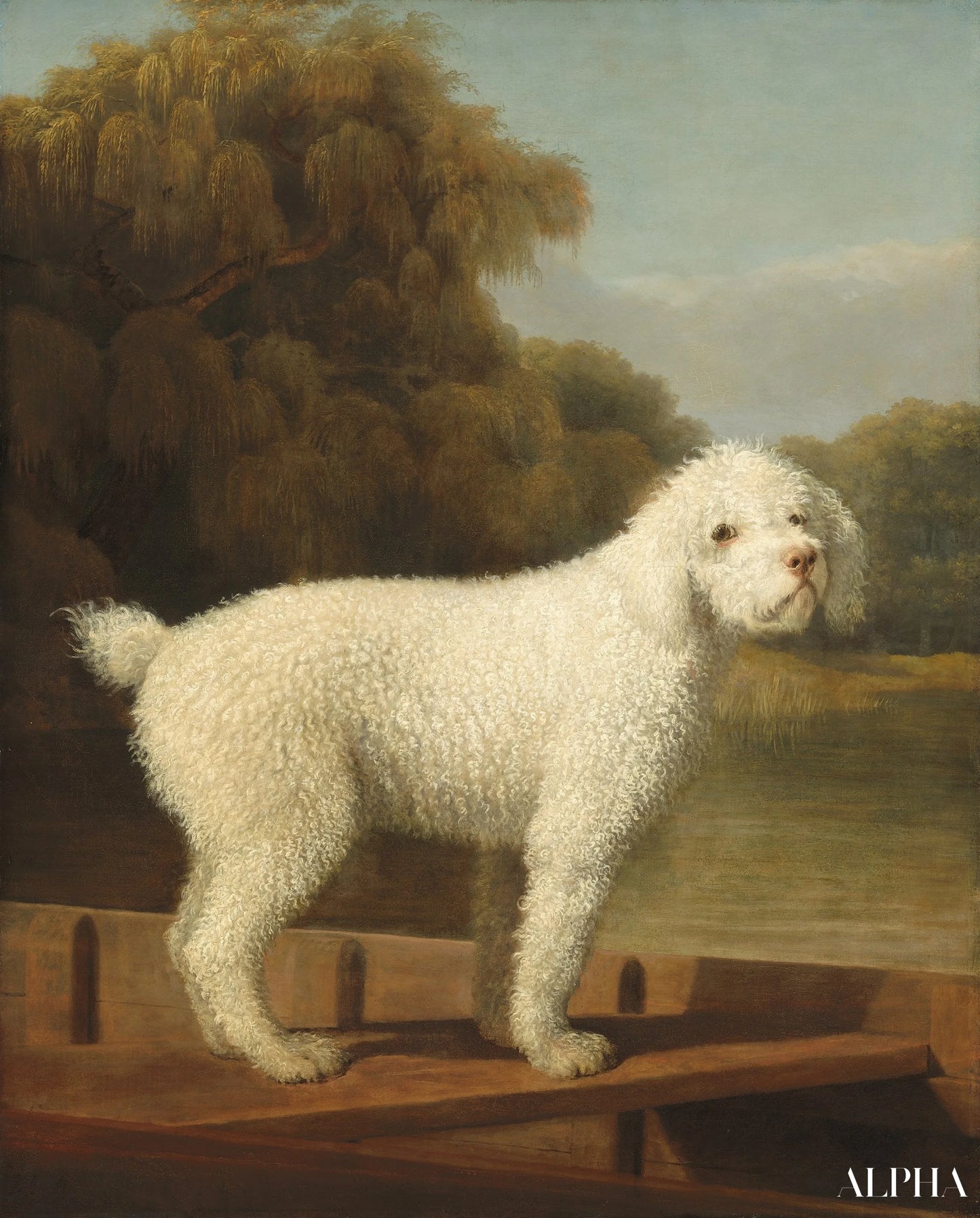 Caniche Blanc dans un Punt - George Stubbs - Reproductions de tableaux et peintures haut de gamme