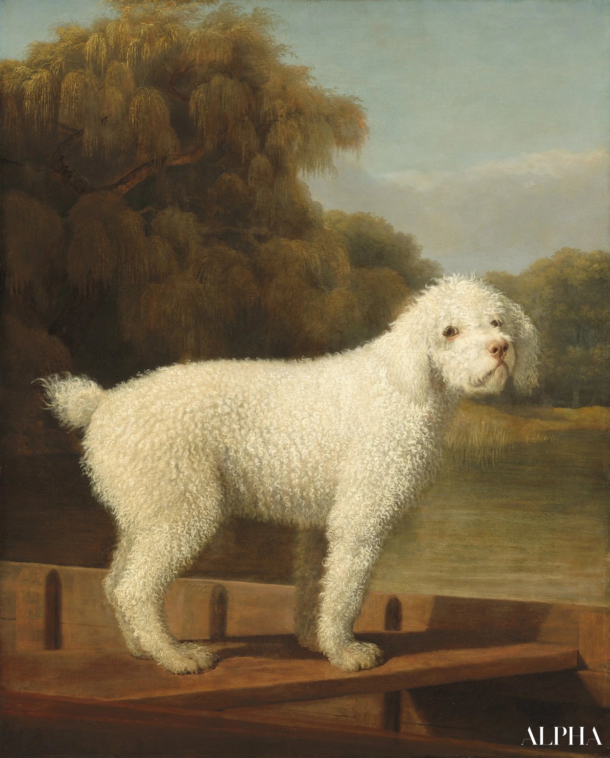 Caniche Blanc dans un Punt - George Stubbs - Reproductions de tableaux et peintures haut de gamme